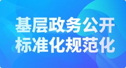 基层政务公开标准化目录